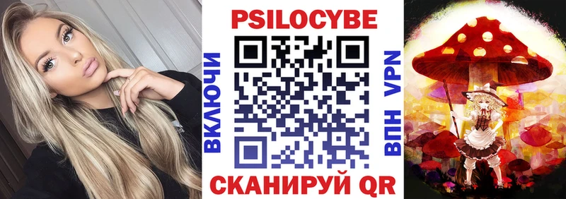 Купить закладки  Анадырь  Псилоцибиновые грибы Psilocybe 